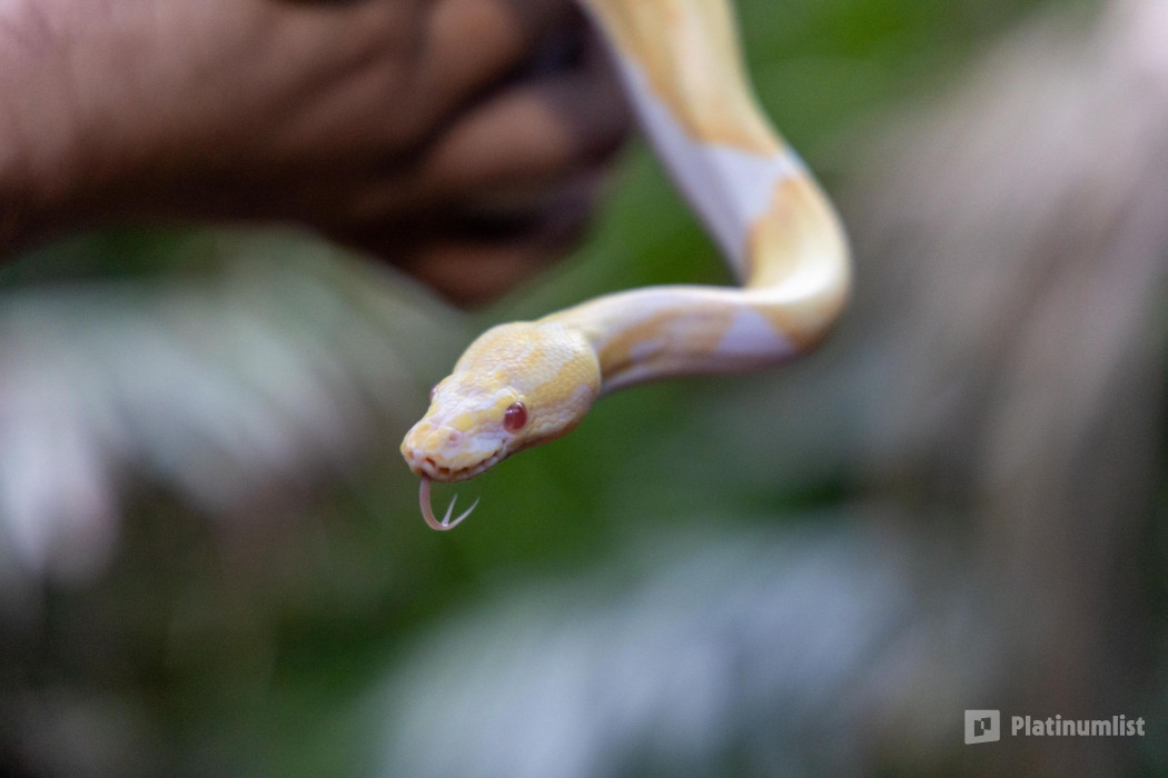 Tropical Land in Jeddah: Gallery Photo 3qee16