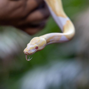 Tropical Land in Jeddah: Gallery Photo 3qee16 Tropical Land in Jeddah: Gallery Photo 3qee16