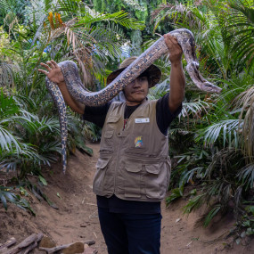 Tropical Land in Jeddah: Gallery Photo nkee7v Tropical Land in Jeddah: Gallery Photo nkee7v