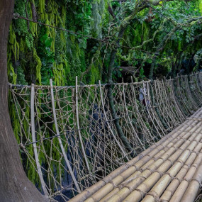 Tropical Land in Jeddah: Gallery Photo 35yy8m Tropical Land in Jeddah: Gallery Photo 35yy8m