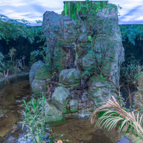 Photo from تروبيكال لاند in جدة: Gallery Photo n26690