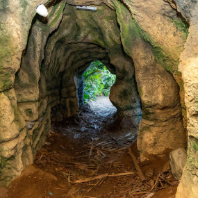 Photo from تروبيكال لاند in جدة: Gallery Photo n15596