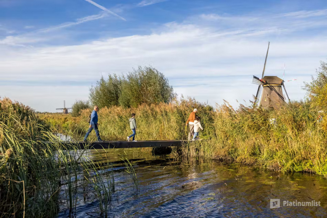Kinderdijk Windmills in Kinderdijk: Gallery Photo n6998y