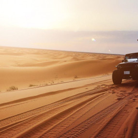 Photo from Storm adventure - Safari trip in Riyadh: Gallery Photo n69919