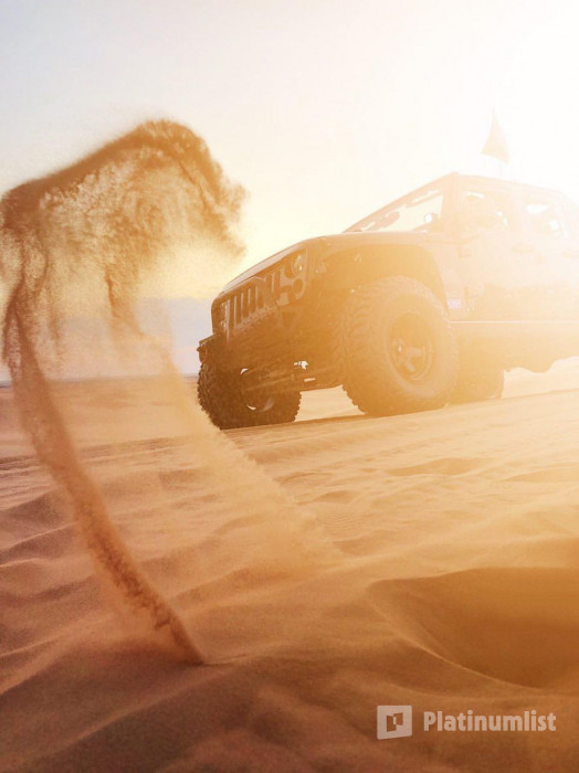 n266vq استديو الصور :الرياض في مغامرة العاصفة - رحلة سفاري n266vq استديو الصور :الرياض في مغامرة العاصفة - رحلة سفاري