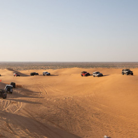 Photo from Storm adventure - Safari trip in Riyadh: Gallery Photo z7xxd8