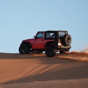 Photo from Storm adventure - Safari trip in Riyadh: Gallery Photo zw66x0