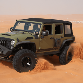 Photo from Storm adventure - Safari trip in Riyadh: Gallery Photo n0vvqw