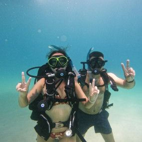 Abu Dhabi PADI Discover Scuba Diving Program in Abu Dhabi: Gallery Photo zv66wb