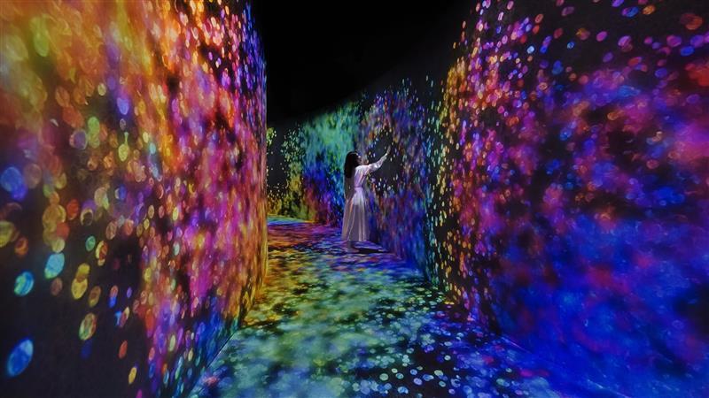 Photo from TeamLab Phenomena + Yas Waterworld - Combo in Abu Dhabi: Gallery Photo n15e5b