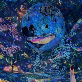 Photo from TeamLab Phenomena + Yas Waterworld - Combo in Abu Dhabi: Gallery Photo zw6p6e