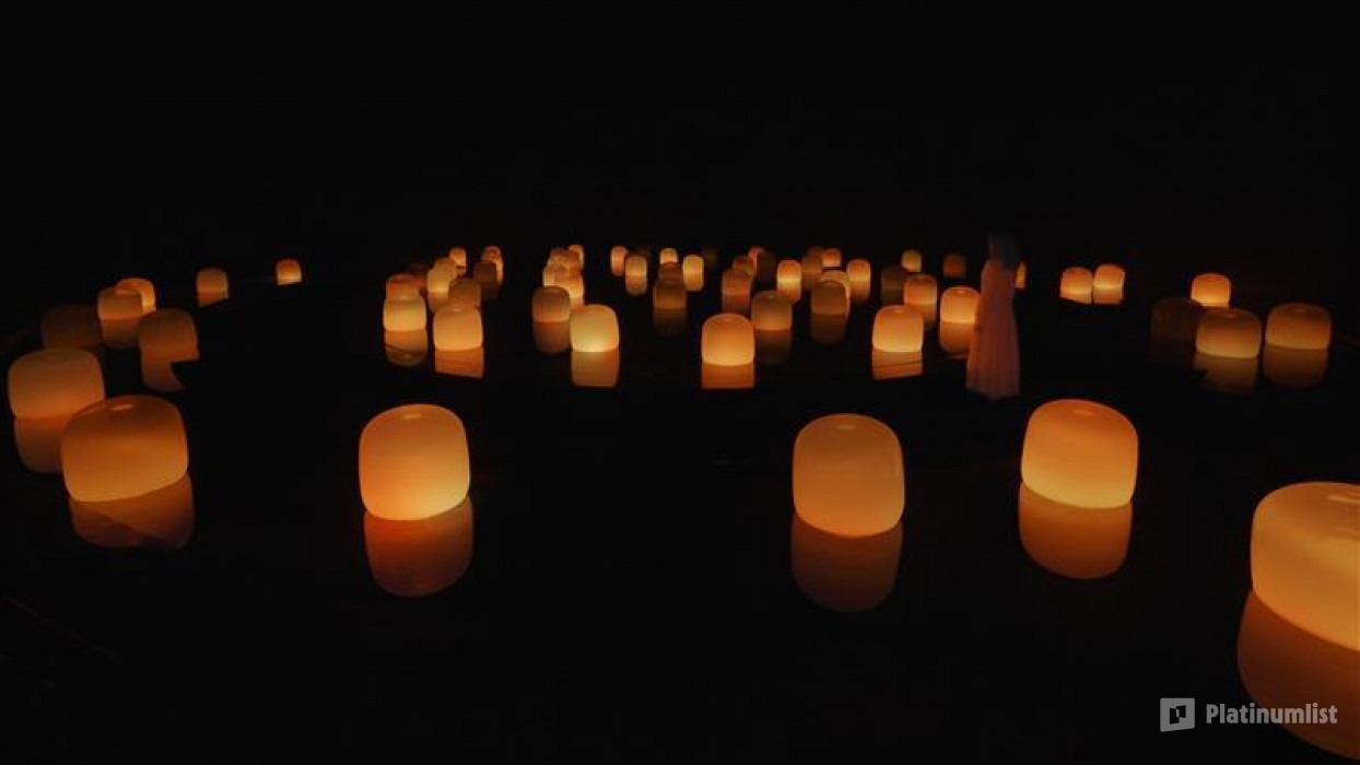 TeamLab Phenomena + Louvre Abu Dhabi - Combo in Abu Dhabi: Gallery Photo zv686q