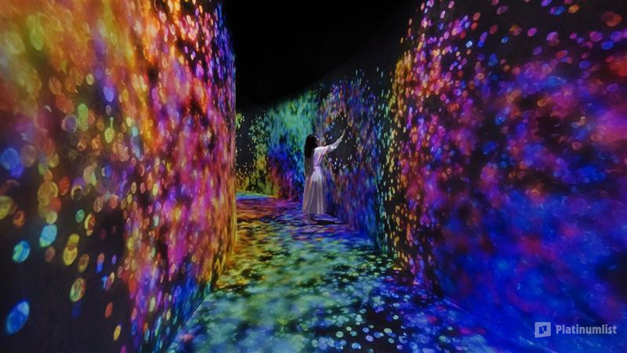 TeamLab Phenomena + Qasr Al Watan - Combo in Abu Dhabi: Gallery Photo n26qq4 TeamLab Phenomena + Qasr Al Watan - Combo in Abu Dhabi: Gallery Photo n26qq4