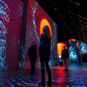 Photo from Fabrique des Lumières: The Kingdom of the Pharaohs in Amsterdam: Gallery Photo 34jeyd