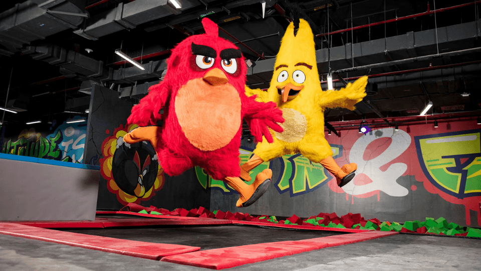 Photo from Angry Birds World Theme Park in Doha: Gallery Photo z94yxq