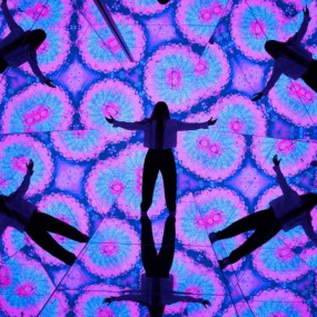 Photo from تذكرة استكشاف عالم آية وهاوس أوف هايب in دبي: Gallery Photo 34je1b