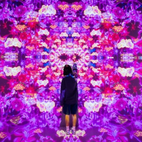 Photo from تذكرة استكشاف عالم آية وهاوس أوف هايب in دبي: Gallery Photo z94y0p