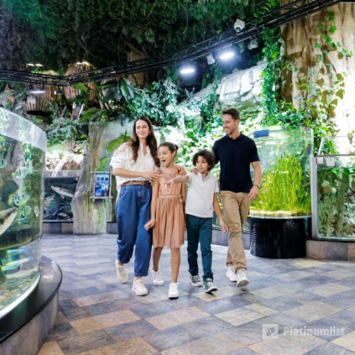 Dubai Aquarium & Underwater Zoo - Gold в Дубай: Галерея фото zv68q7