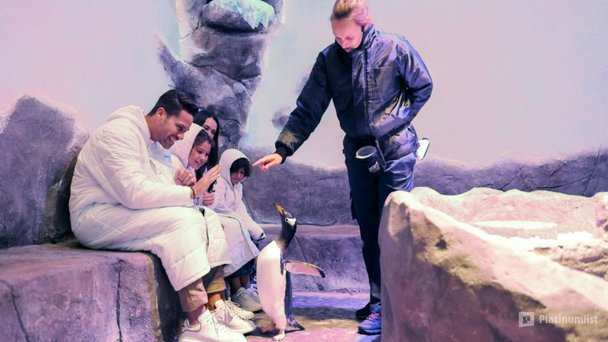 Dubai Aquarium & Underwater Zoo - Gold в Дубай: Галерея фото 38y2mr