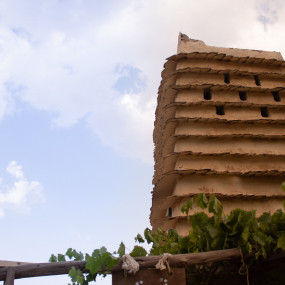 Photo from مزرعة الليوان في أبها in أبها: Gallery Photo 3pjpgq