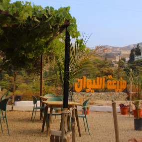 Photo from مزرعة الليوان في أبها in أبها: Gallery Photo 3j5rkw