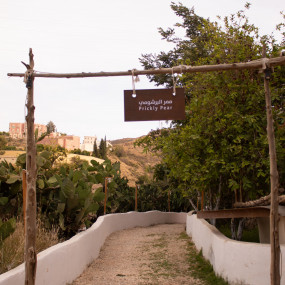 Photo from مزرعة الليوان في أبها in أبها: Gallery Photo 3qegbe