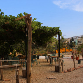 Photo from مزرعة الليوان في أبها in أبها: Gallery Photo 3yod5q