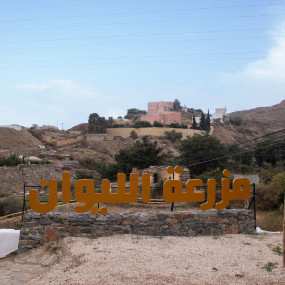 Photo from مزرعة الليوان في أبها in أبها: Gallery Photo nke050