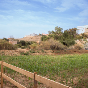 Photo from مزرعة الليوان في أبها in أبها: Gallery Photo n695bx