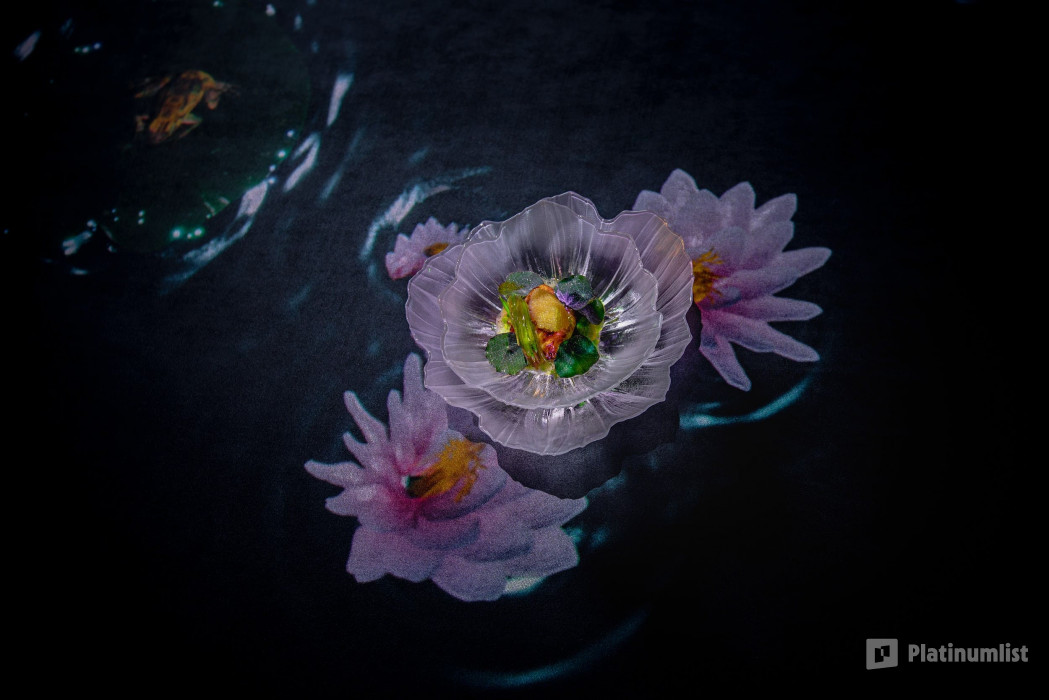 z9451p استديو الصور :دبي في عرض روسيا الخيالي في مطعم كراسوتا