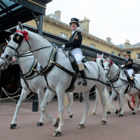 The Royal Mews & Buckingham Palace in London : Galerie de photos 35y5vd The Royal Mews & Buckingham Palace in London : Galerie de photos 35y5vd