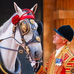 Photo from الإسطبلات الملكية وقصر باكنغهام in لندن: Gallery Photo z7xq48