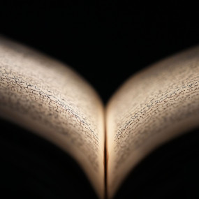 Photo from متحف نور وسلام | تجربة ضياء in أبوظبي: Gallery Photo 38yq5j