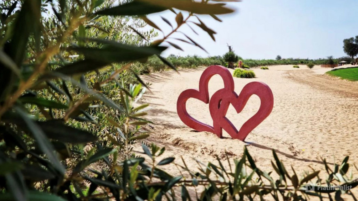 zv6k57 استديو الصور :دبي في تجربة الدراجات الكهربائية في صحراء دبي – جولة عند شروق الشمس أو غروبها