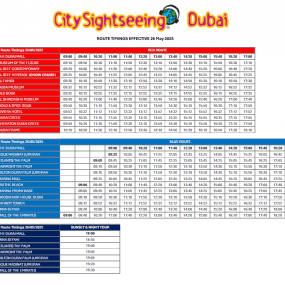 City Sightseeing Dubai in Dubai: Gallery Photo 3bjqoy