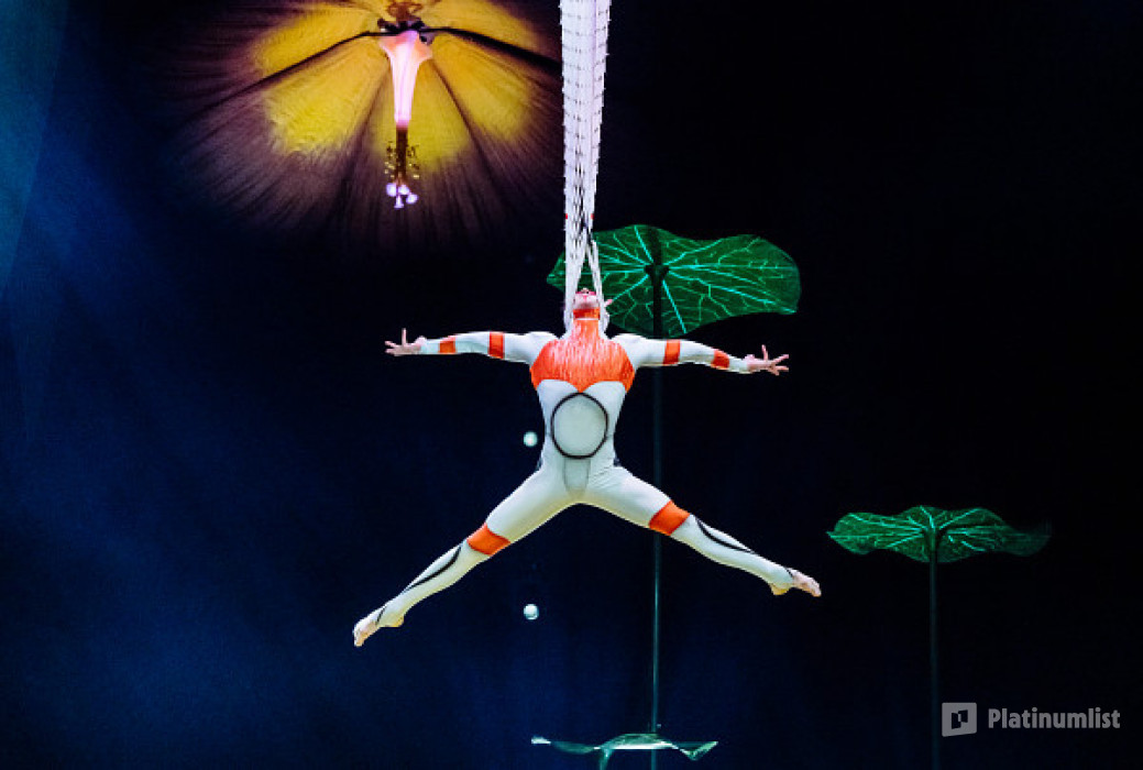 Cirque du Soleil: OVO Tickets in London in London : Galerie de photos zm0rjp Cirque du Soleil: OVO Tickets in London in London : Galerie de photos zm0rjp