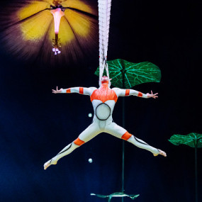 Cirque du Soleil: OVO Tickets in London in London : Galerie de photos zm0rjp Cirque du Soleil: OVO Tickets in London in London : Galerie de photos zm0rjp
