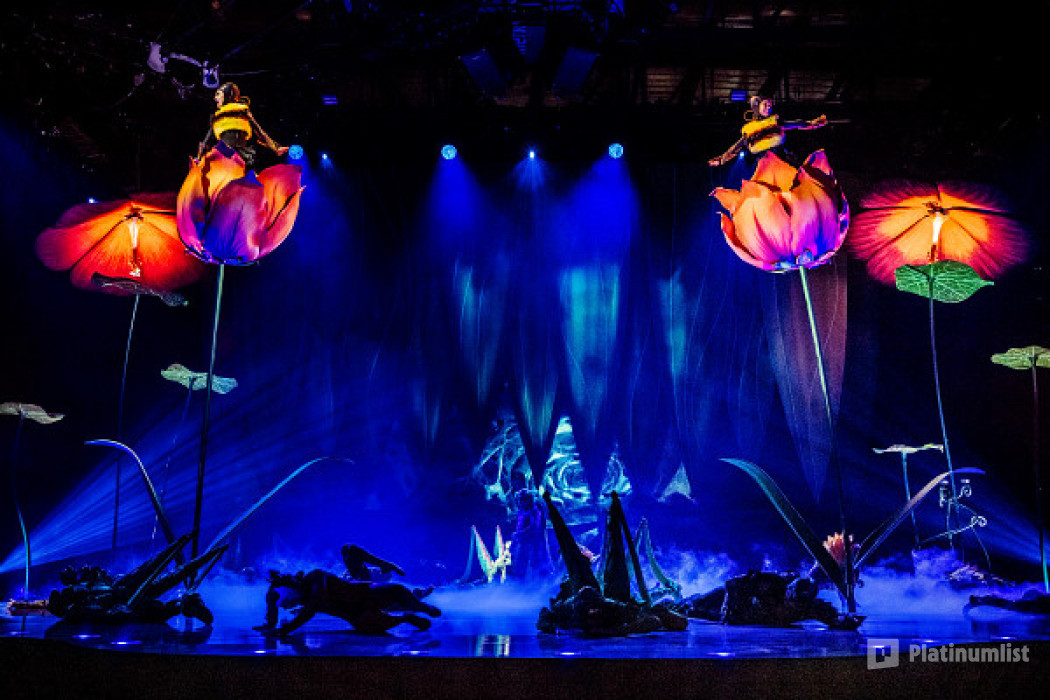 Cirque du Soleil: OVO Tickets in London in London : Galerie de photos z948q1 Cirque du Soleil: OVO Tickets in London in London : Galerie de photos z948q1