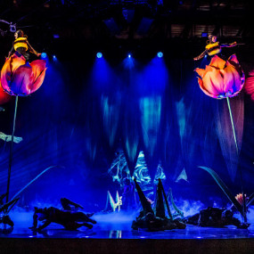 Cirque du Soleil: OVO Tickets in London in London : Galerie de photos z948q1 Cirque du Soleil: OVO Tickets in London in London : Galerie de photos z948q1
