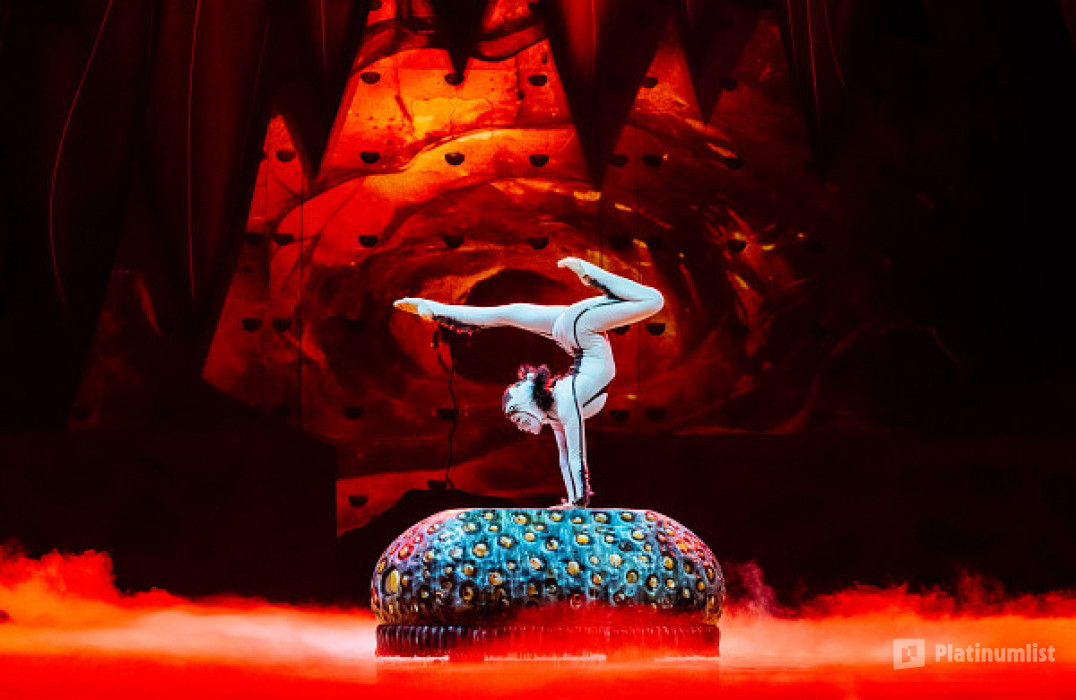 Cirque du Soleil: OVO Tickets in London in London : Galerie de photos zv6kd8 Cirque du Soleil: OVO Tickets in London in London : Galerie de photos zv6kd8