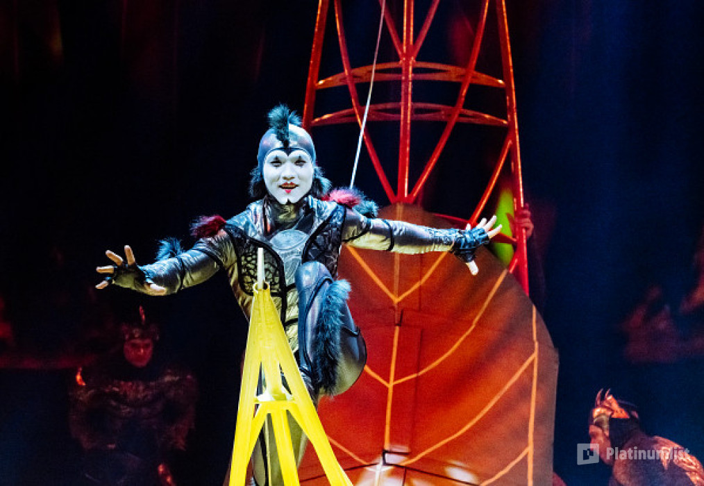 Cirque du Soleil: OVO Tickets in London in London : Galerie de photos 38y4xq Cirque du Soleil: OVO Tickets in London in London : Galerie de photos 38y4xq