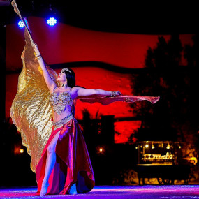 Photo from سباق الأحلام: ليلة مع غونتر شتاينر in دبي: Gallery Photo n0v27v