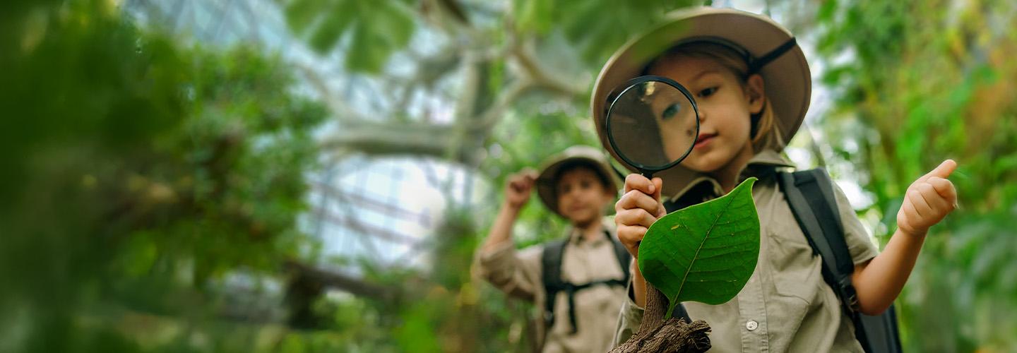 Photo from The Green Planet +  Ain Dubai - Combo in Dubai: Gallery Photo 3e7ykb