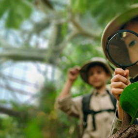 The Green Planet +  Ain Dubai - Combo in Dubai: Gallery Photo 3e7ykb