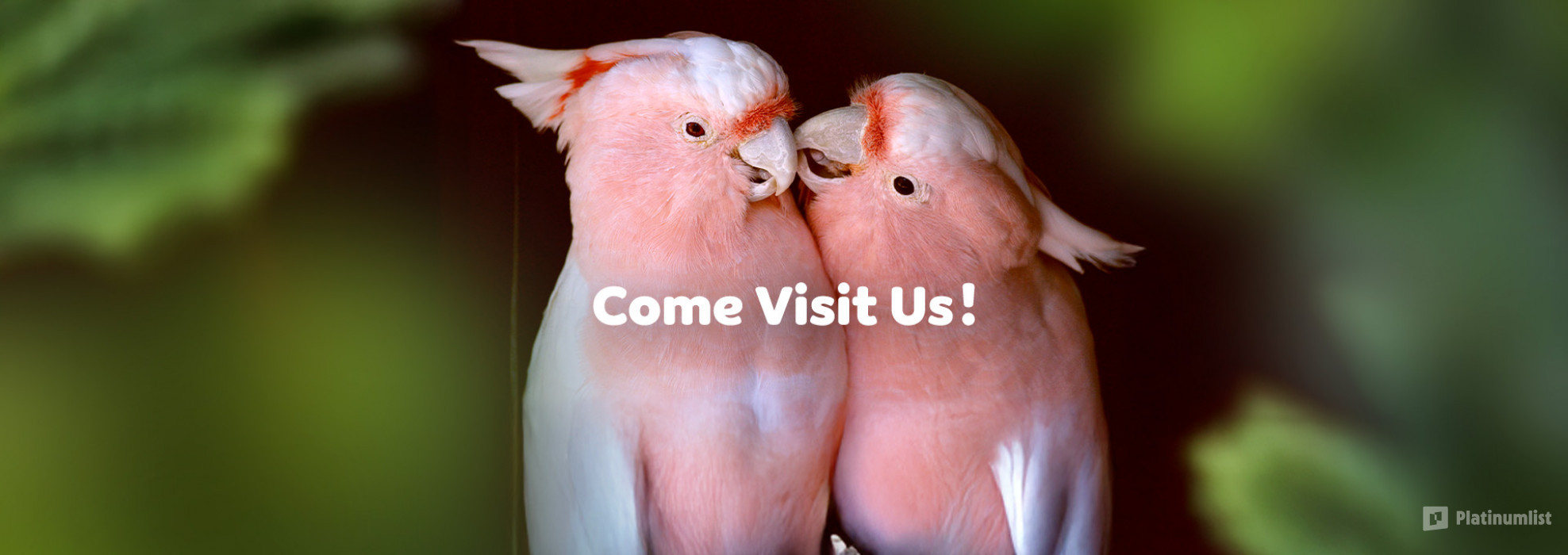 The Green Planet +  Ain Dubai - Combo in Dubai: Gallery Photo 34j4wg