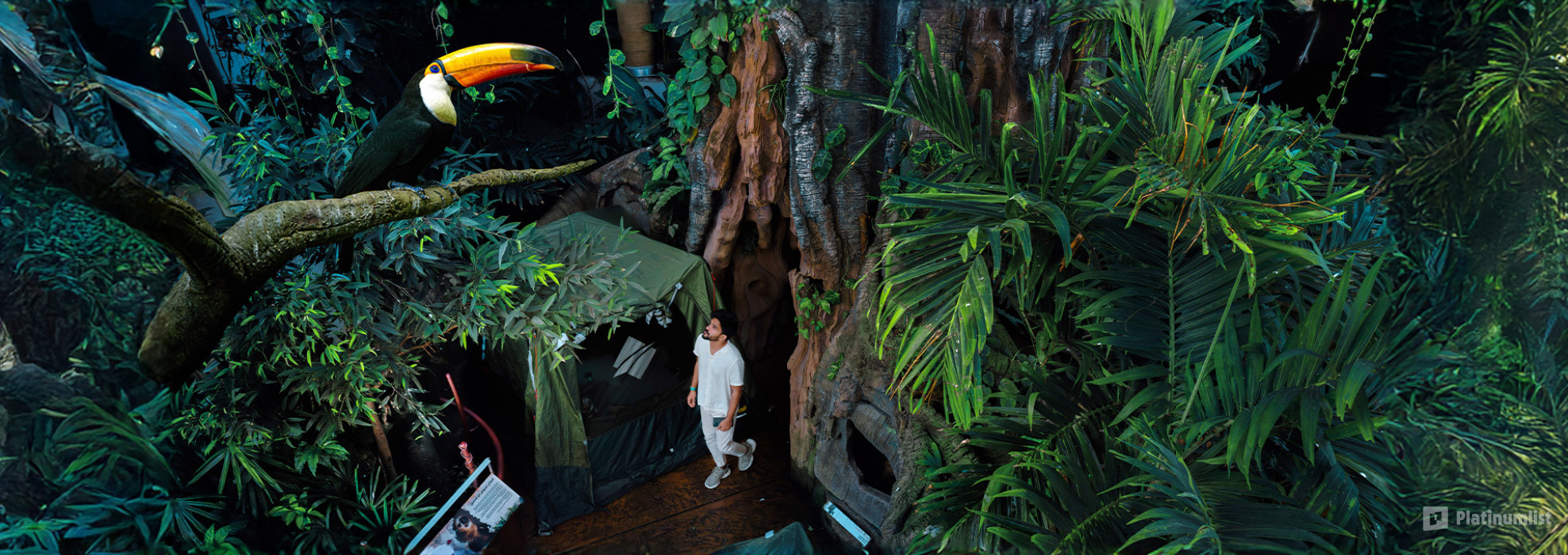 The Green Planet +  Ain Dubai - Combo in Dubai: Gallery Photo 3rwg25