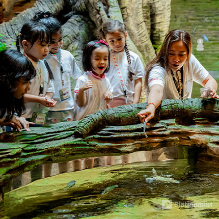 The Green Planet +  Ain Dubai - Combo in Dubai: Gallery Photo 3bjq5j