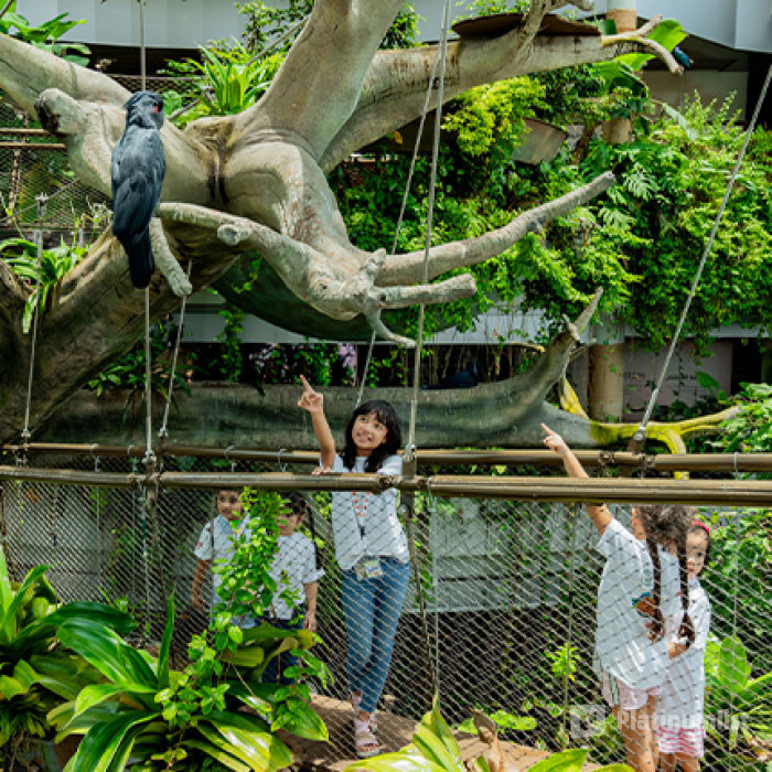 The Green Planet +  Ain Dubai - Combo in Dubai: Gallery Photo zw6vgp