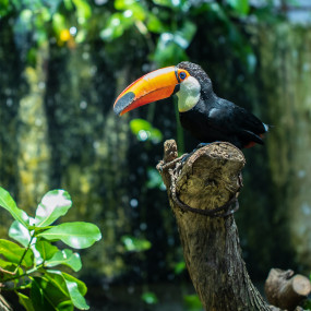 Photo from The Green Planet +  Ain Dubai - Combo in Dubai: Gallery Photo zm0rqw