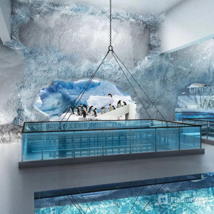 Dubai Aquarium & Underwater Zoo - Penguin Encounter in Dubai: Gallery Photo 3d7q8k